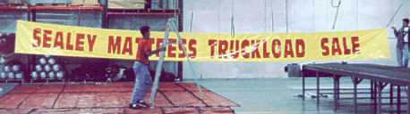 sealybanner.gif (50268 bytes)