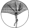 grommet drawing