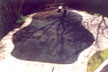 Custom pool cover